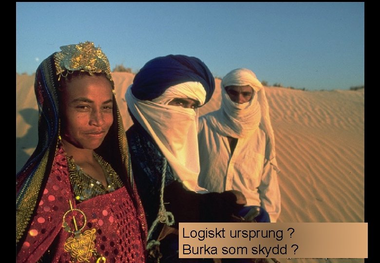 Logiskt ursprung ? Burka som skydd ? 