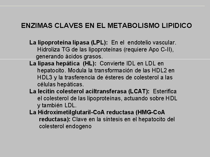 ENZIMAS CLAVES EN EL METABOLISMO LIPIDICO La lipoproteína lipasa (LPL): En el endotelio vascular.