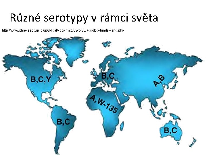 Různé serotypy v rámci světa http: //www. phac-aspc. gc. ca/publicat/ccdr-rmtc/09 vol 35/acs-dcc-4/index-eng. php 
