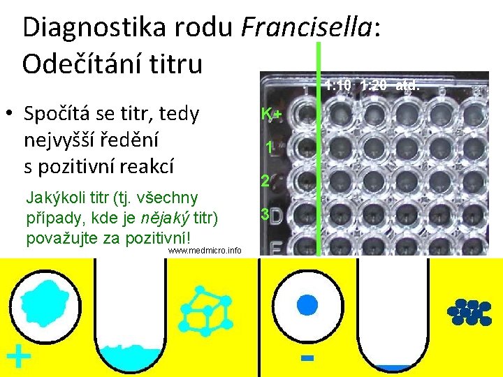 Diagnostika rodu Francisella: Odečítání titru 1: 10 1: 20 atd. • Spočítá se titr,