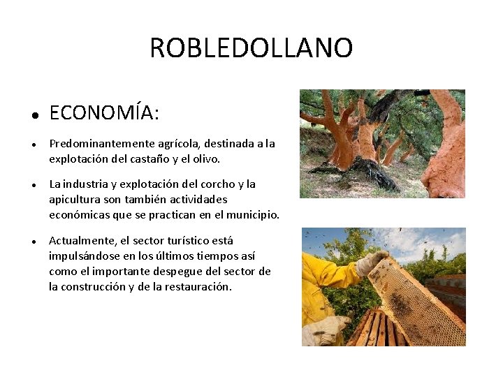 ROBLEDOLLANO ECONOMÍA: Predominantemente agrícola, destinada a la explotación del castaño y el olivo. La