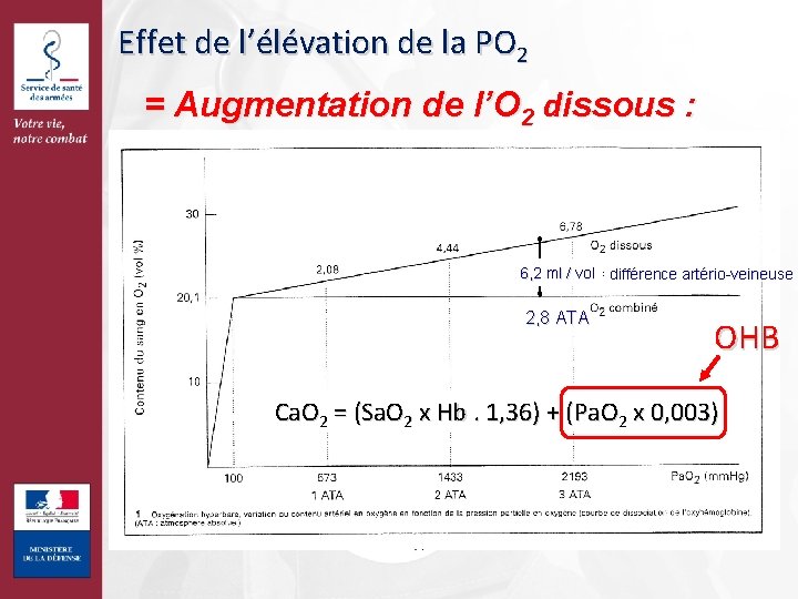 Effet de l’élévation de la PO 2 = Augmentation de l’O 2 dissous :