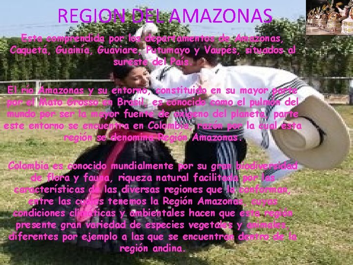 REGION DEL AMAZONAS Esta comprendida por los departamentos de Amazonas, Caquetá, Guainía, Guaviare, Putumayo