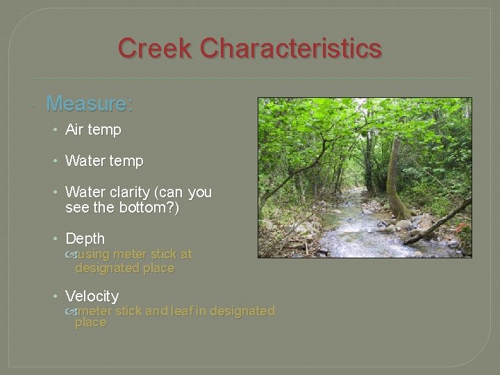 Creek Characteristics Measure: • Air temp • Water clarity (can you see the bottom?