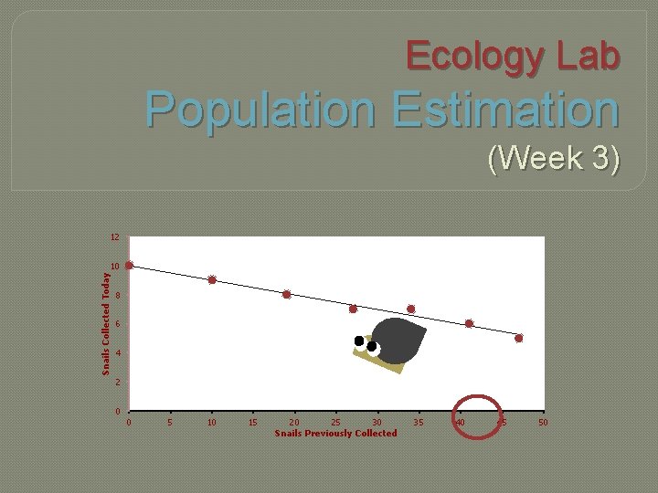 Ecology Lab Population Estimation (Week 3) 12 Snails Collected Today 10 8 6 4