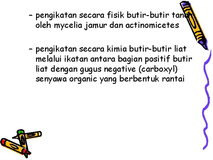 – pengikatan secara fisik butir-butir tanah oleh mycelia jamur dan actinomicetes – pengikatan secara