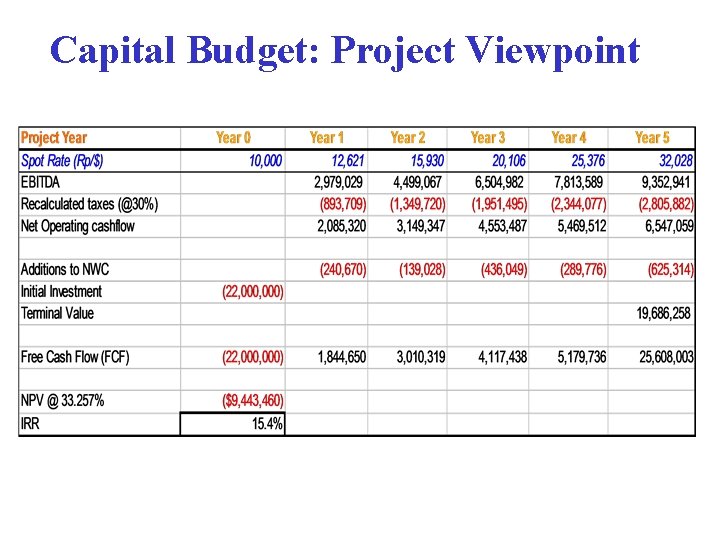 Capital Budget: Project Viewpoint 