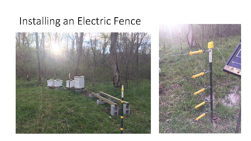 Installing an Electric Fence 