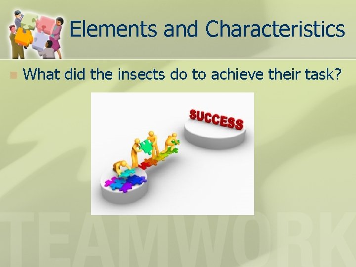 Elements and Characteristics n What did the insects do to achieve their task? 