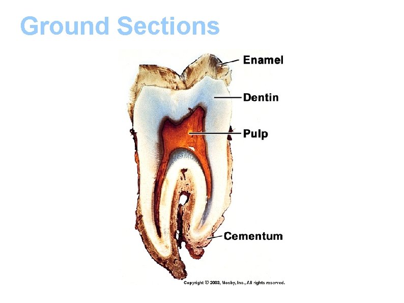 Ground Sections 