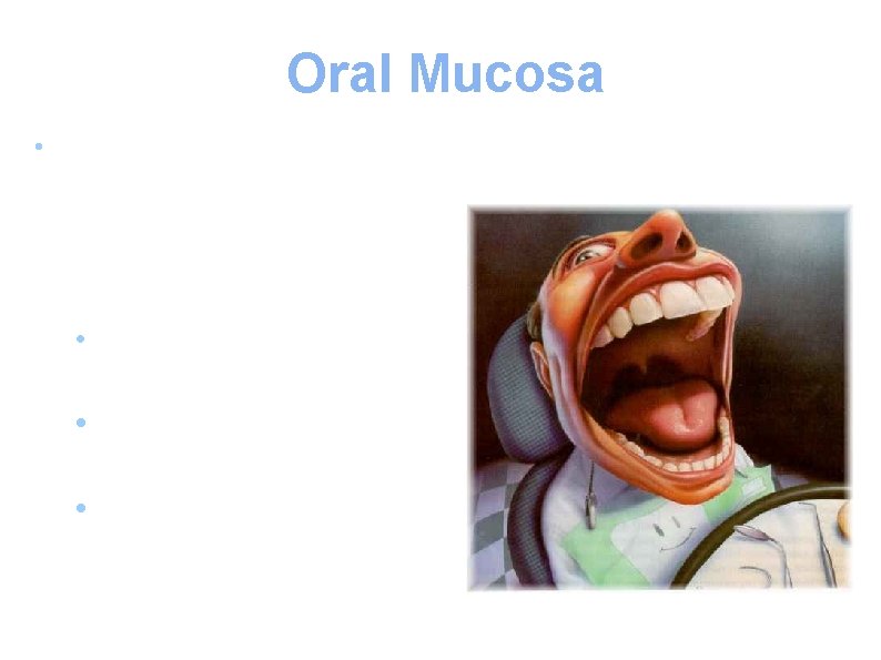 Oral Mucosa • Depending on the location and function of the epithelium, the oral