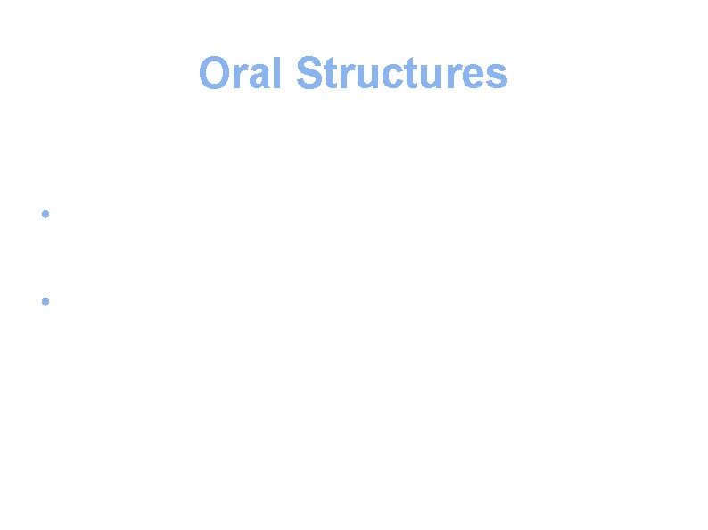 Oral Structures ● Hard tissues ● Soft tissues 