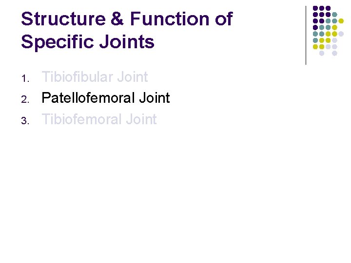 Structure & Function of Specific Joints 1. 2. 3. Tibiofibular Joint Patellofemoral Joint Tibiofemoral