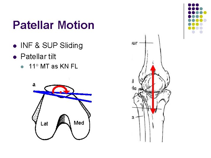 Patellar Motion l l INF & SUP Sliding Patellar tilt l 11 MT as