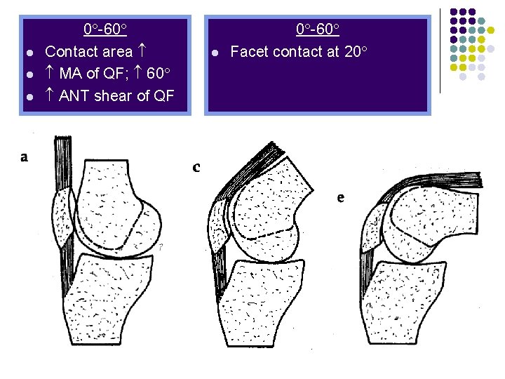 l l l 0 -60 Contact area MA of QF; 60 ANT shear of