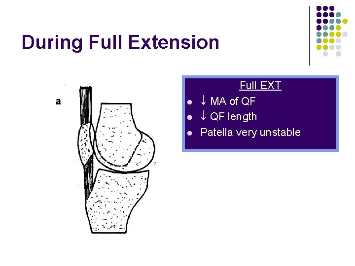 During Full Extension l l l Full EXT MA of QF length Patella very