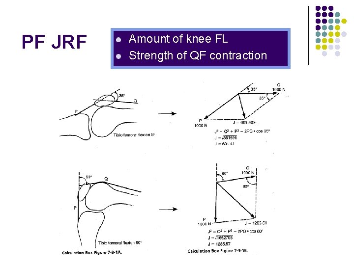 PF JRF l l Amount of knee FL Strength of QF contraction 