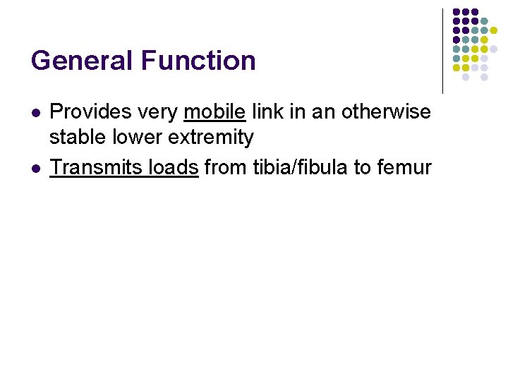 General Function l l Provides very mobile link in an otherwise stable lower extremity