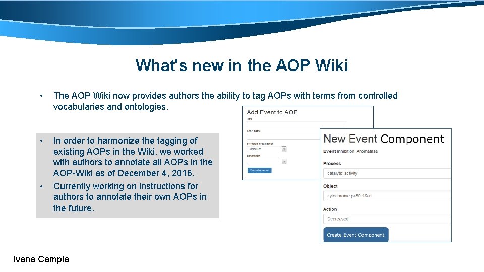 What's new in the AOP Wiki • The AOP Wiki now provides authors the