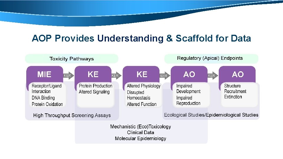 AOP Provides Understanding & Scaffold for Data 