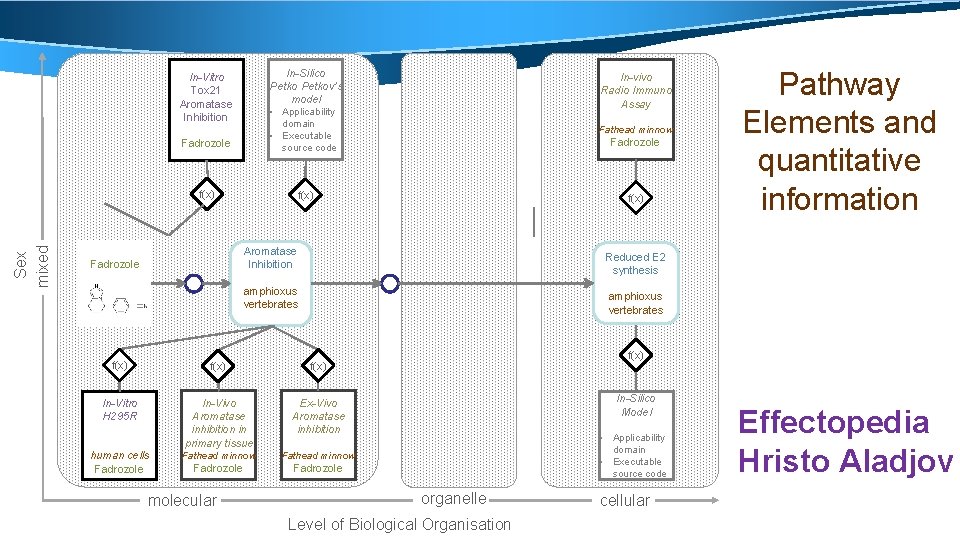 In-Silico Petkov’s model • Applicability Sex mixed In-Vitro Tox 21 Aromatase Inhibition Fadrozole domain