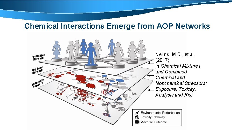 Chemical Interactions Emerge from AOP Networks Nelms, M. D. , et al. (2017) in