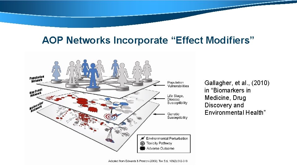 AOP Networks Incorporate “Effect Modifiers” Gallagher, et al. , (2010) in “Biomarkers in Medicine,