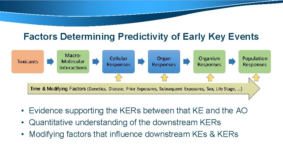 Factors Determining Predictivity of Early Key Events • Evidence supporting the KERs between that
