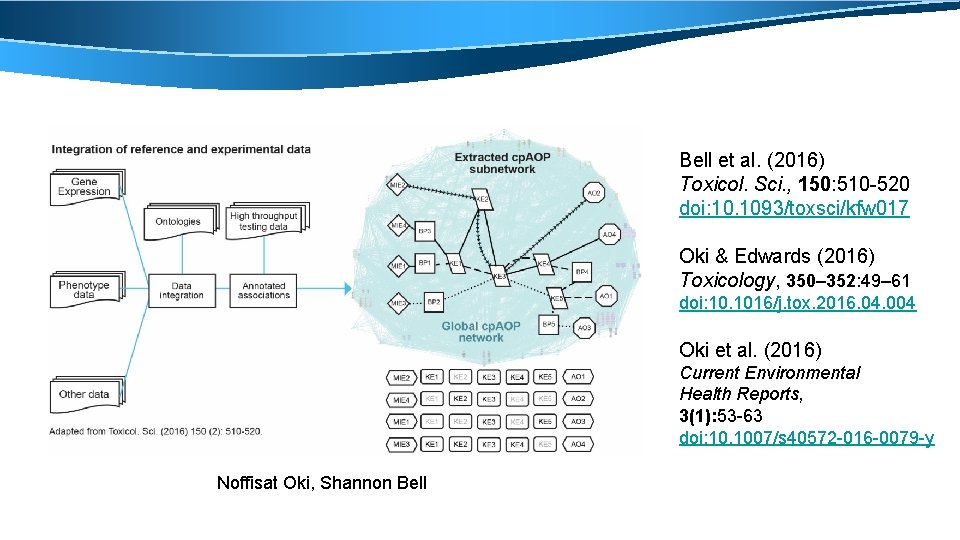 Bell et al. (2016) Toxicol. Sci. , 150: 510 -520 doi: 10. 1093/toxsci/kfw 017