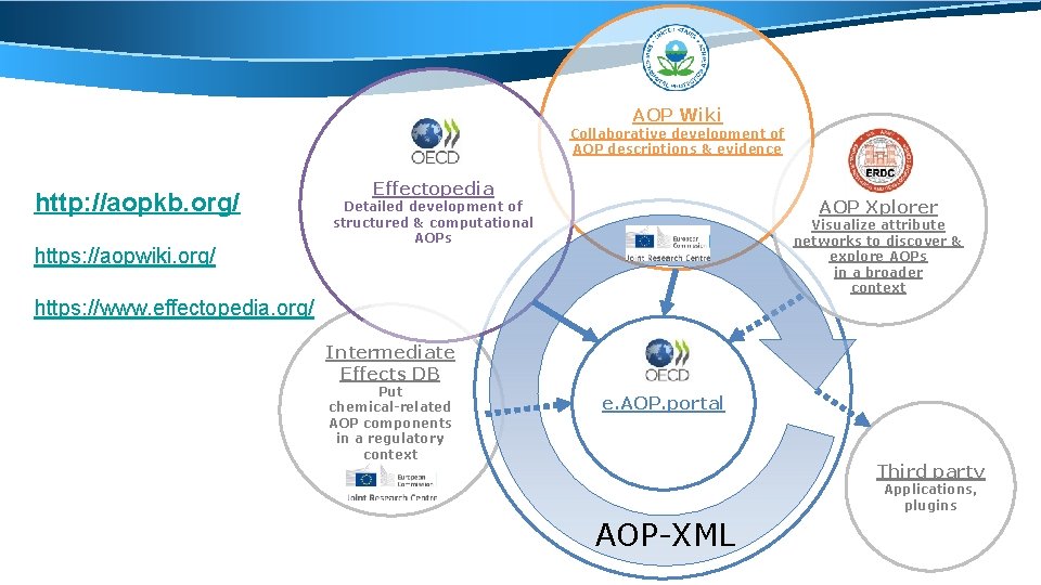 AOP Wiki Collaborative development of AOP descriptions & evidence http: //aopkb. org/ https: //aopwiki.