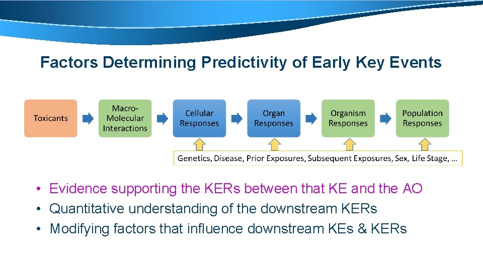 Factors Determining Predictivity of Early Key Events • Evidence supporting the KERs between that
