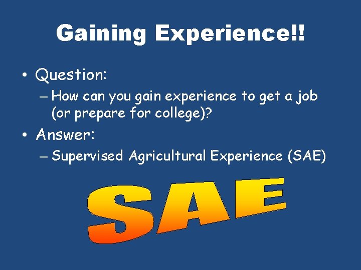 Gaining Experience!! • Question: – How can you gain experience to get a job