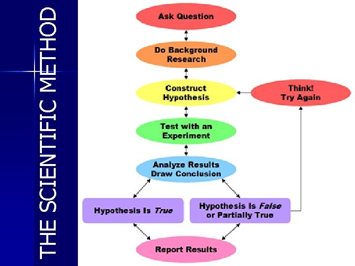 THE SCIENTIFIC METHOD 14 