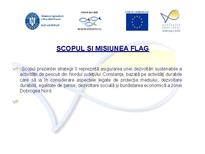 SCOPUL ȘI MISIUNEA FLAG Scopul prezentei strategii îl reprezintă asigurarea unei dezvoltări sustenabile a