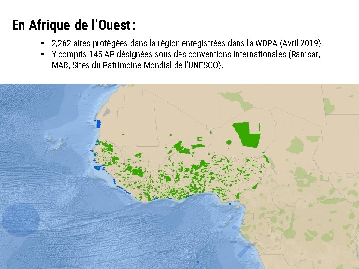 En Afrique de l’Ouest: § 2, 262 aires protégées dans la région enregistrées dans