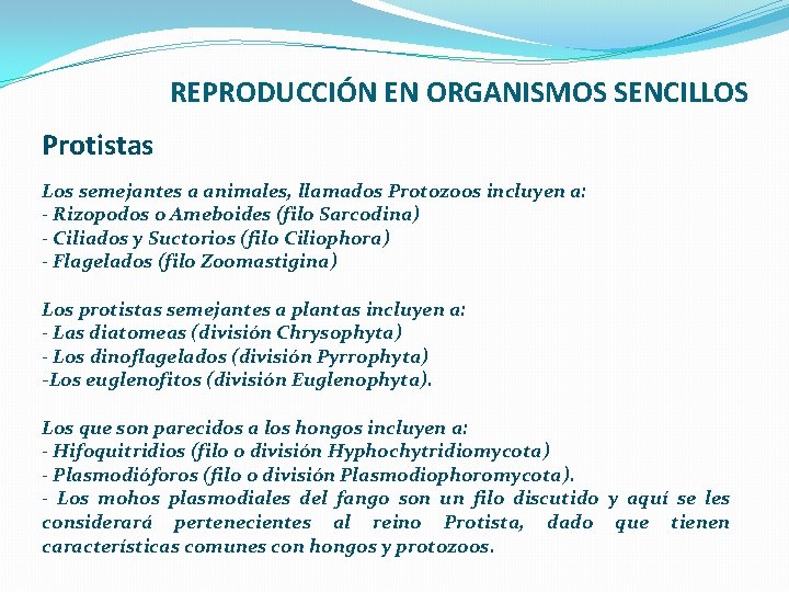 REPRODUCCIÓN EN ORGANISMOS SENCILLOS Protistas Los semejantes a animales, llamados Protozoos incluyen a: -