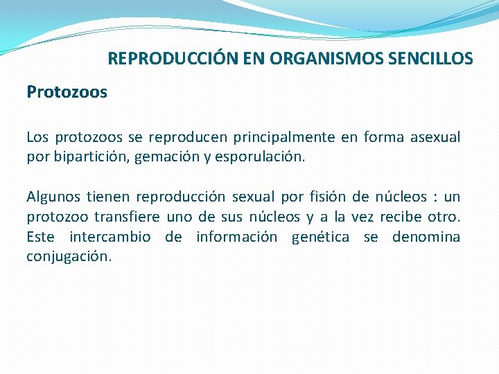 REPRODUCCIÓN EN ORGANISMOS SENCILLOS Protozoos Los protozoos se reproducen principalmente en forma asexual por