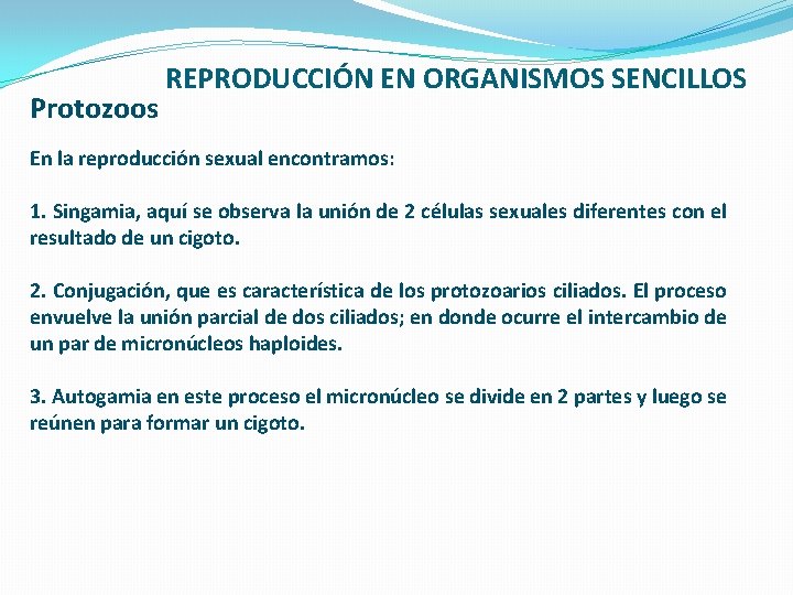 Protozoos REPRODUCCIÓN EN ORGANISMOS SENCILLOS En la reproducción sexual encontramos: 1. Singamia, aquí se