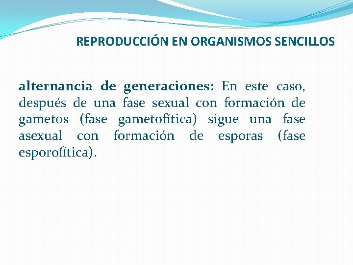 REPRODUCCIÓN EN ORGANISMOS SENCILLOS alternancia de generaciones: En este caso, después de una fase