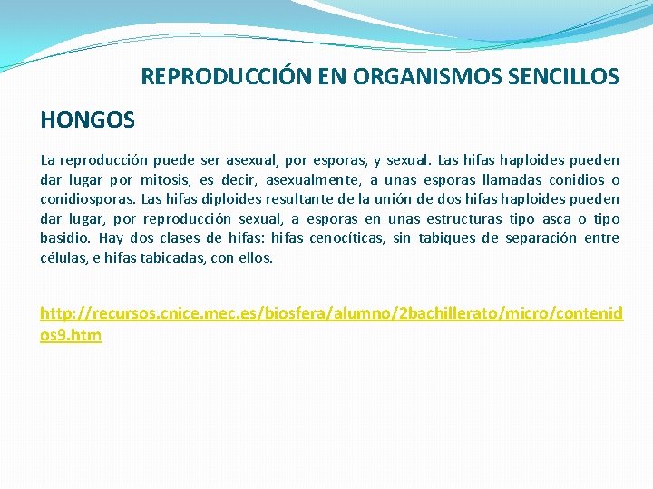 REPRODUCCIÓN EN ORGANISMOS SENCILLOS HONGOS La reproducción puede ser asexual, por esporas, y sexual.