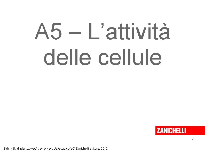 A 5 – L’attività delle cellule 3 Sylvia S. Mader Immagini e concetti della