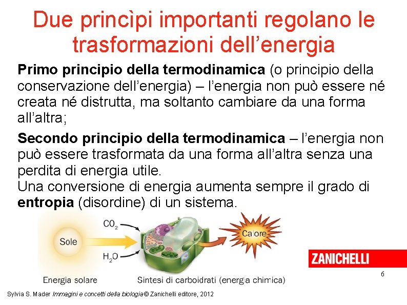 Due princìpi importanti regolano le trasformazioni dell’energia Primo principio della termodinamica (o principio della