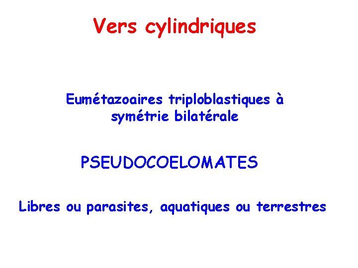 Vers cylindriques Eumétazoaires triploblastiques à symétrie bilatérale PSEUDOCOELOMATES Libres ou parasites, aquatiques ou terrestres