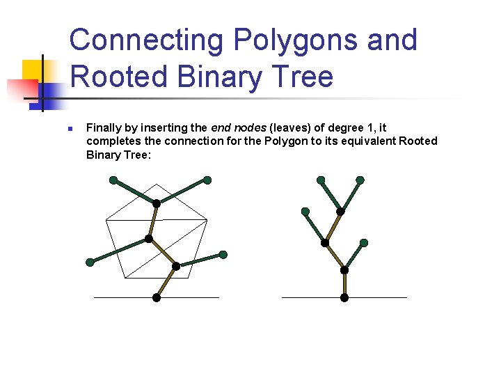 Connecting Polygons and Rooted Binary Tree n Finally by inserting the end nodes (leaves) Connecting Polygons and Rooted Binary Tree n Finally by inserting the end nodes (leaves)