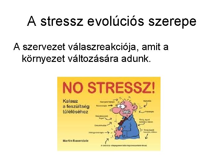 A stressz evolúciós szerepe A szervezet válaszreakciója, amit a környezet változására adunk. 