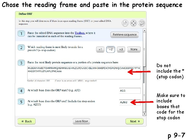 Chose the reading frame and paste in the protein sequence Do not include the