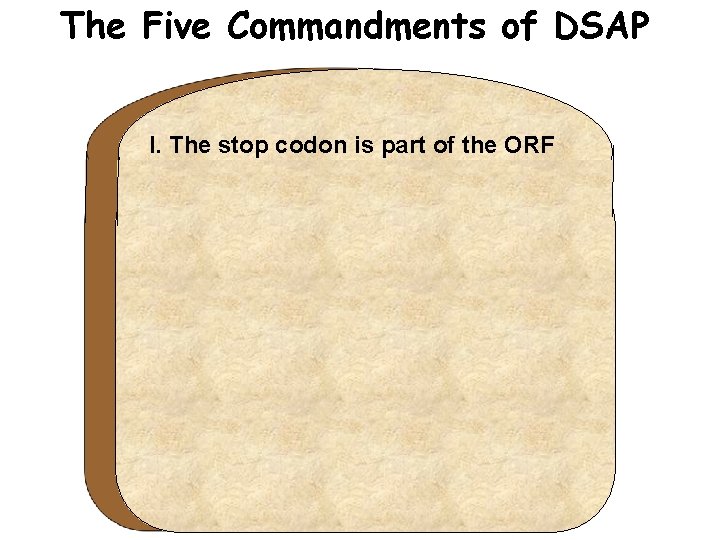 The Five Commandments of DSAP I. The stop codon is part of the ORF