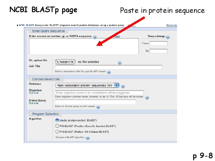 NCBI BLASTp page Paste in protein sequence p 9 -8 