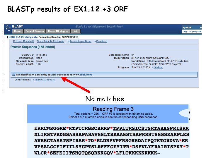 BLASTp results of EX 1. 12 +3 ORF No matches 