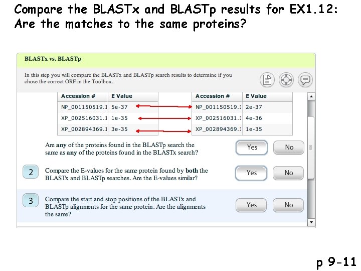 Compare the BLASTx and BLASTp results for EX 1. 12: Are the matches to